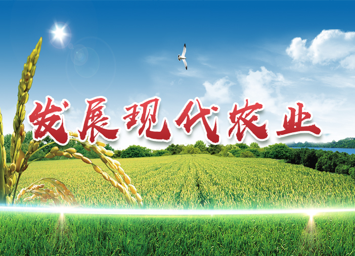 千禾養(yǎng)老回龍觀院